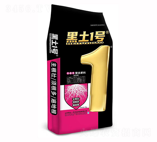 ����������ԏͺϷ���-����1̖