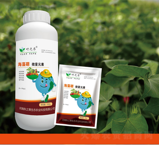 ������΢��Ԫ��-�~֮��-�~������