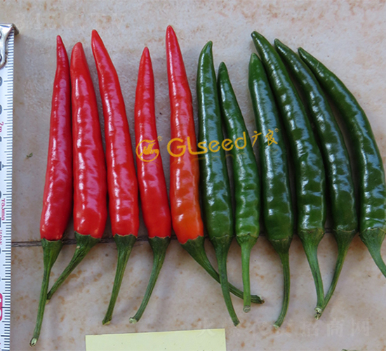 ����1̖(h��o)���콷-�����N��-�V��