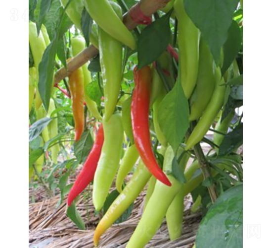 ��������-�����N��-�V��