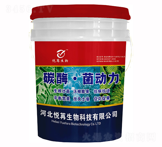 ̼ø������-����