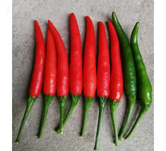 GL-26-�����N��-�V��