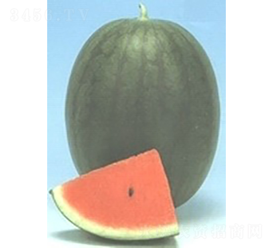 С������-���ϷN��-�V��