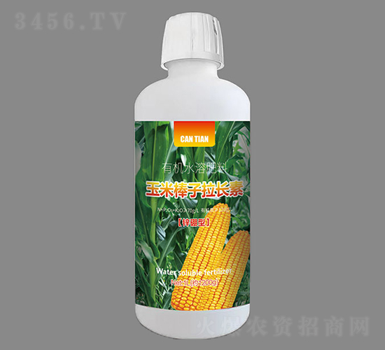 ���װ������L���\����-�N�����r