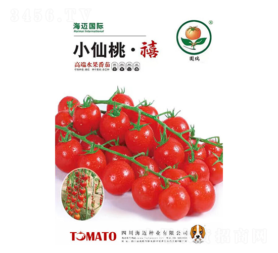 С���ҡ���-���ҷ��ѷN��-���~���H