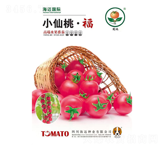 С���ҡ���-���ҷ��ѷN��-���~���H