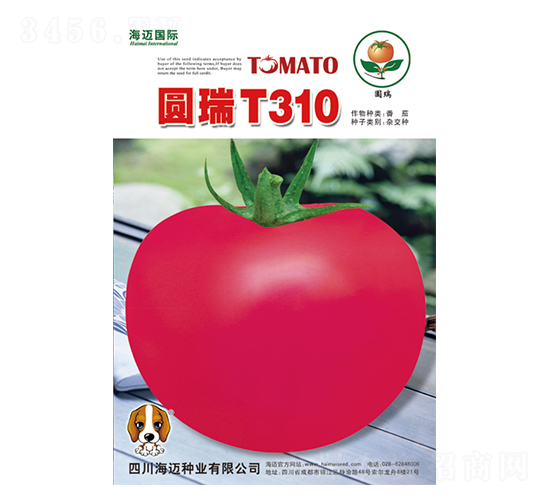 �A��T310-���ѷN��-���~���H