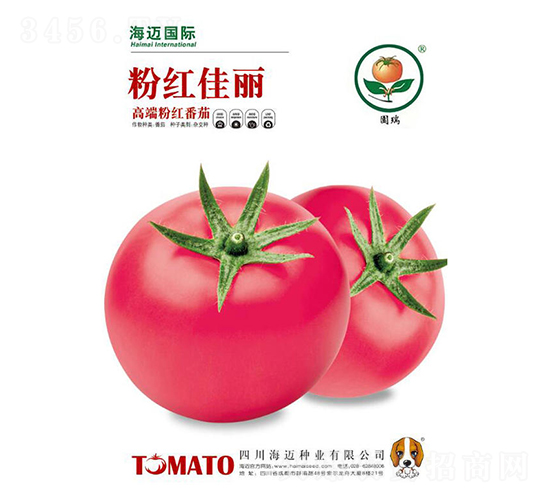 �ۼt����-���ѷN��-���~���H