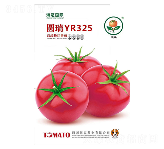 �A��325-���ѷN��-���~���H