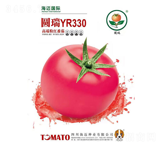 �A��330-���ѷN��-���~��(gu��)�H