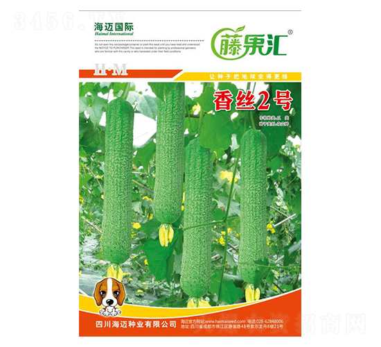 ��z2̖-�z�ϷN��-�ٹ��R-���~���H