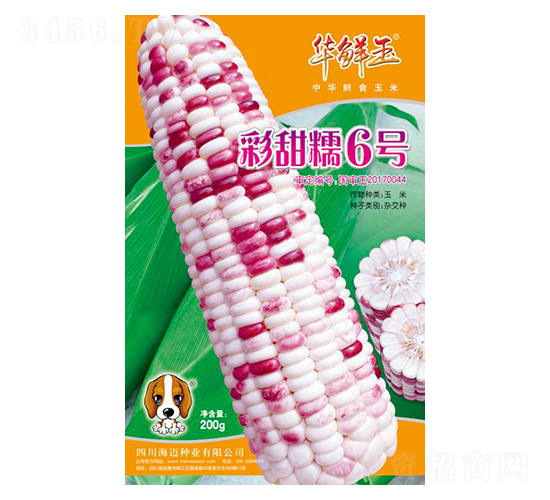 ����Ŵ6̖-���׷N��-�A�r��-���~���H