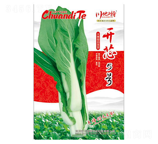 �_о5̖-�ײ�̦�N��-������