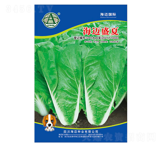 ���~ʢ��-��ײ˷N��-���~���H