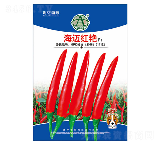 ���~�t�G-�����N��-���~���H