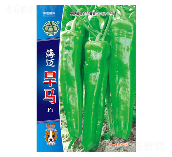 ���~���R-�����N��-���~���H