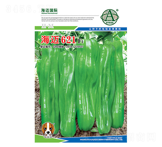 ���~621-�����N��-���~���H