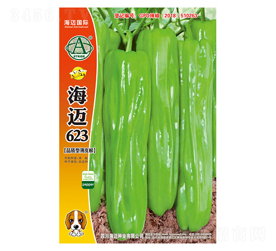 ���~623-�����N��-���~���H