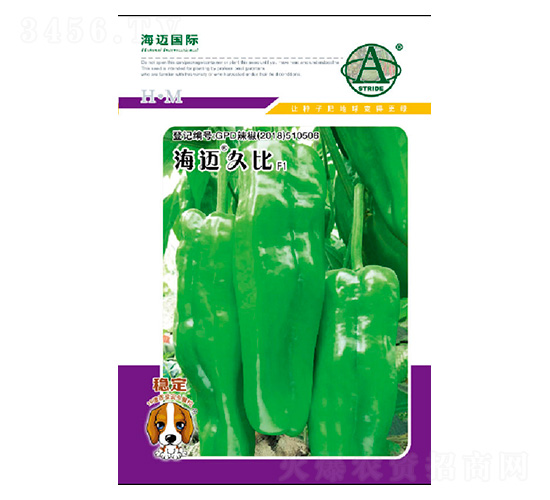 ���~�ñ�-�����N��-���~���H