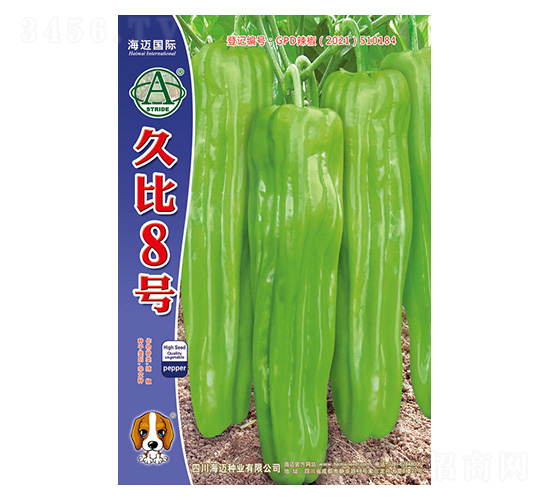 �ñ�8̖-�����N��-���~���H