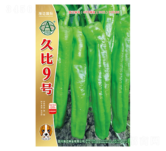 �ñ�9̖(h��o)-�����N��-���~���H