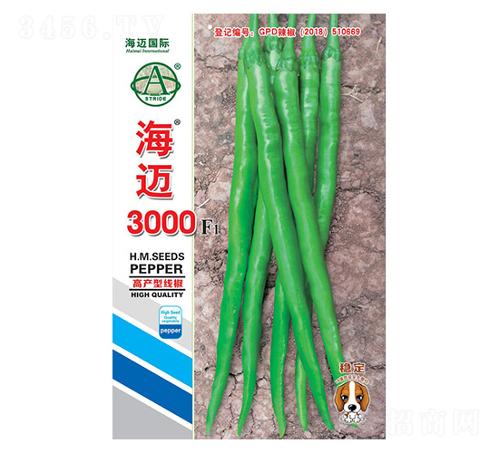 ���~3000-�����N��-���~���H