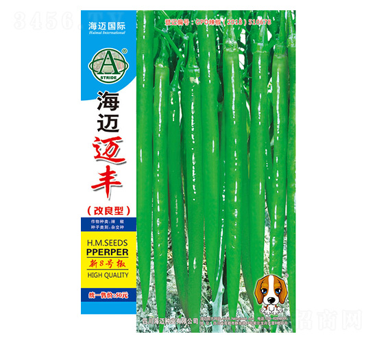 ���~�~�S-�����N��-���~���H