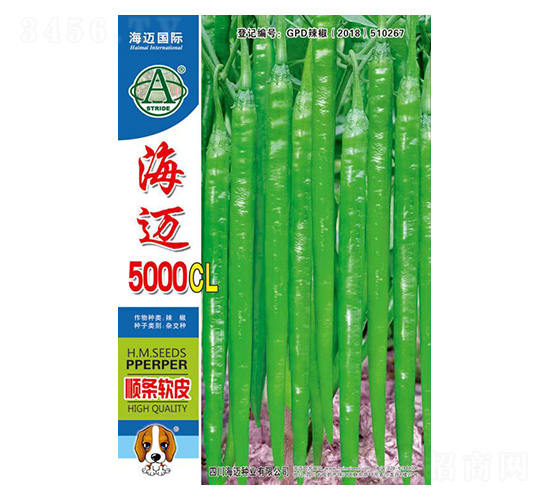 ���~5000CL-�����N��-���~���H