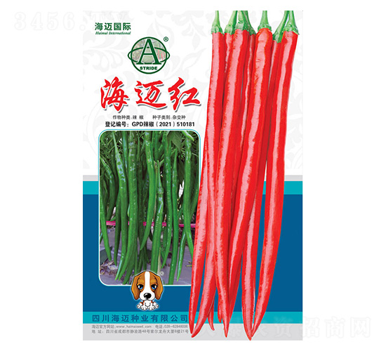 ���~�t-�����N��-���~��(gu��)�H