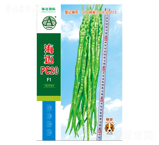 ���~PC20-�����N��-���~���H