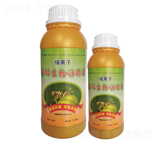 ��(sh��)ω�����T����-���~����