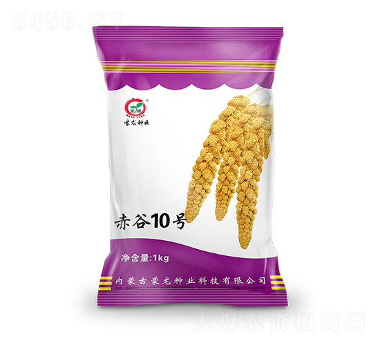 ���10̖(h��o)-���ӷN��-�����N�I(y��)