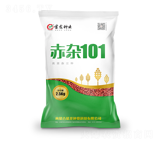 ���s101-�����N��-�����N�I(y��)