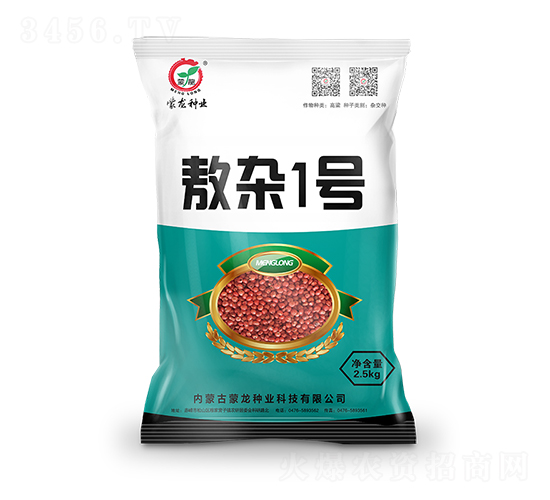 ���s1̖-�����N��-�����N�I(y��)