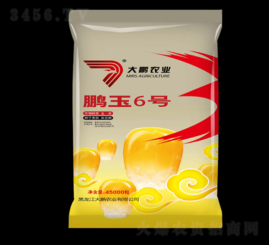 �i��6̖-���׷N��-���i�r(n��ng)�I(y��)