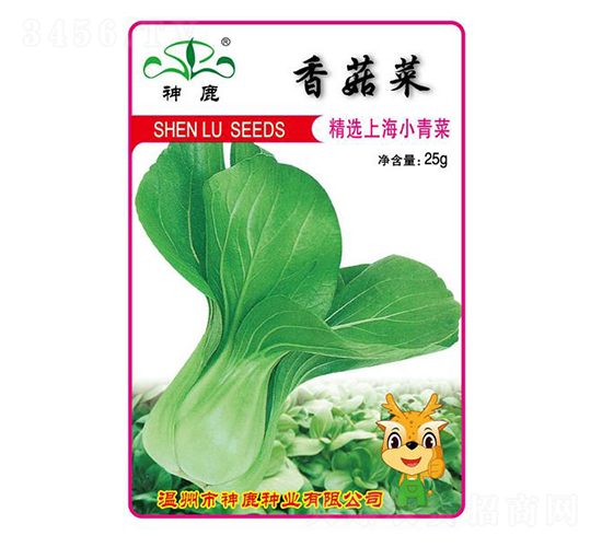 �㹽��-�๣�˷N��-��¹�N�I(y��)