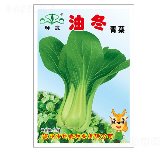 �Ͷ�-�๣�˷N��-��¹�N�I(y��)