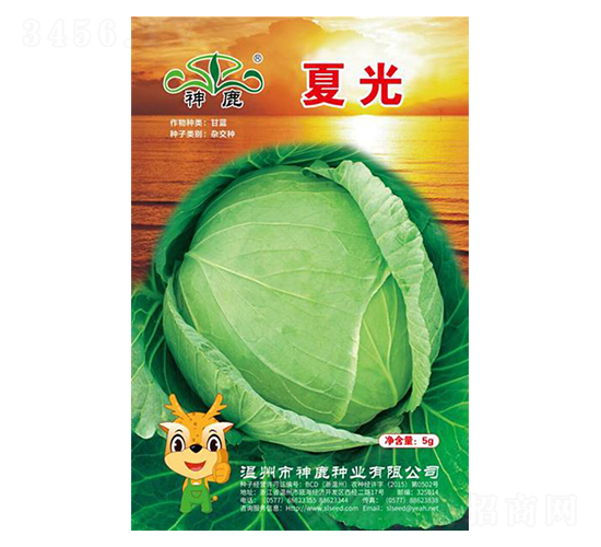 �Ĺ���{(l��n)�N��-��¹�N�I(y��)