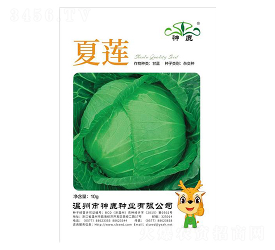 ��ɏ���{(l��n)�N��-��¹�N�I(y��)