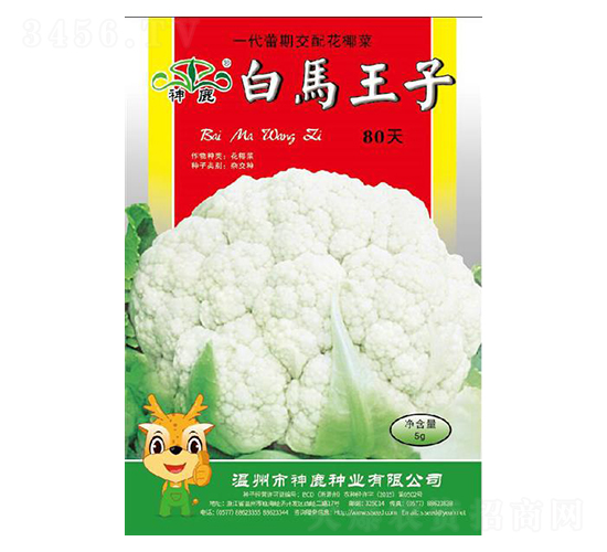 ���R����80��-��Ҭ�˷N��-��¹�N�I(y��)