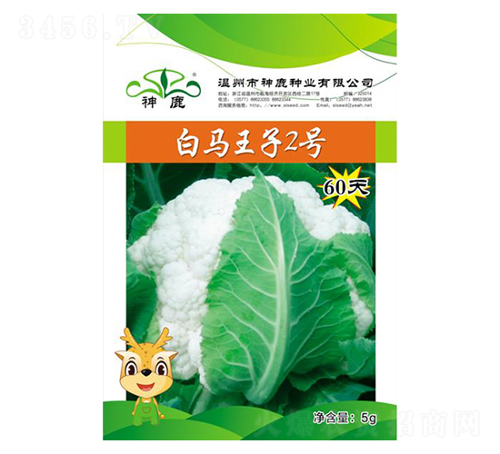 ���R����2̖��60�죩-��Ҭ�˷N��-��¹�N�I(y��)