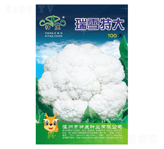 ��ѩ100��-��Ҭ�˷N��-��¹�N�I(y��)