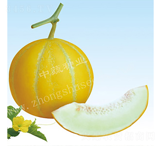 IVF185-��ϷN��-���߷N�I(y��)