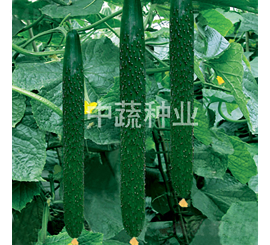 ���r(n��ng)6̖-�S�ϷN��-���߷N�I(y��)