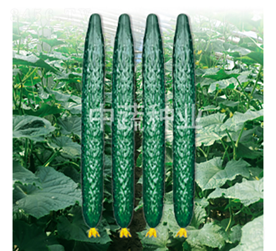 ���r48-�S�ϷN��-���߷N�I(y��)