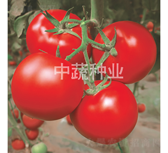 ���s302-���ѷN��-���߷N�I(y��)