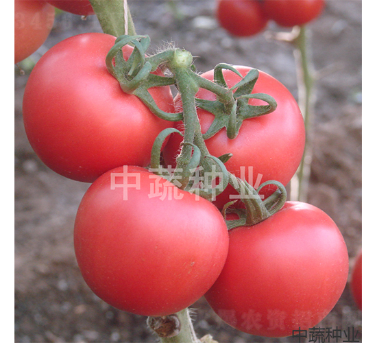 ���s201-���ѷN��-���߷N�I(y��)