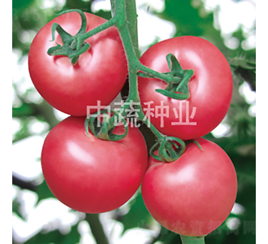 ���s301-���ѷN��-���߷N�I(y��)