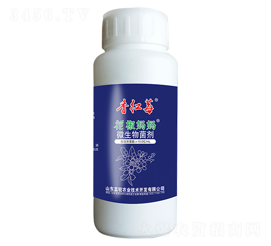 ΢�������-������������tݮ-�{(l��n)�