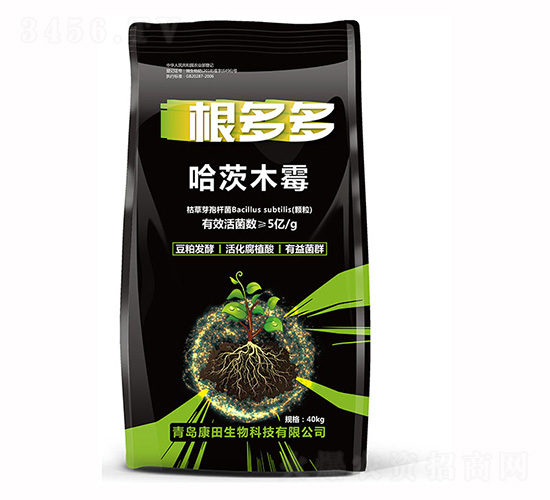 ��������ľù-�h��